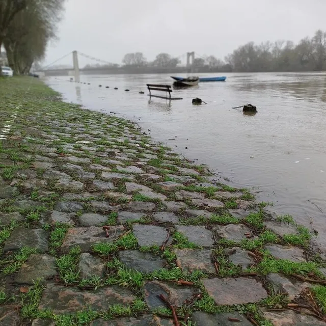 photo la loire s’est invitée sur les quais de chalonnes-sur-loire. elle pourrait recouvrir tous les pavés à la fin du week-end.  ©  ouest-france