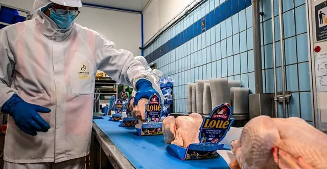 photo  environ 300 000 pièces ont été vendues dans les dernières semaines de l’année.  &copy;  photo le maine libre - yvon loué 