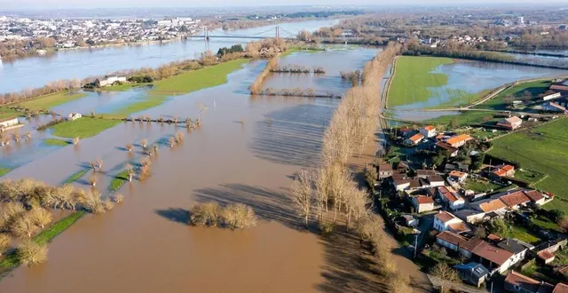 photo  ce lundi 13 janvier 2025, au matin, des routes étaient toujours coupées à ancenis et liré (maine-et-loire), à cause de la loire en crue.  &copy;  franck dubray / ouest france 