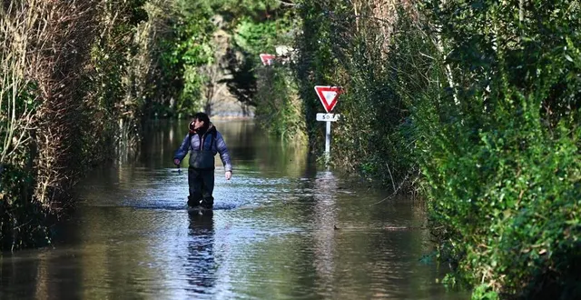photo  la loire en crue entraîne des inondations près des habitations à béhuard.  &copy;  franck dubray / ouest france 