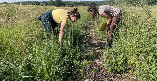 photo  maëva dufour, chargée de mission mesures agroenvironnementales et climatiques au cpie 61 et perrine prével, technicienne conseil bocage et agroforesterie, chargée des programmes de plantation à la scic bois bocage énergie.  &copy;  archives / ouest-france. 