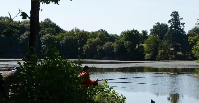 photo  l’étang de bois-pouvreau, dorénavant propriété de la commune de ménigoute, rouvrira à la pêche samedi 1er février 2025.  &copy;  co. 