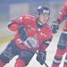 Hockey sur glace. D1 :...