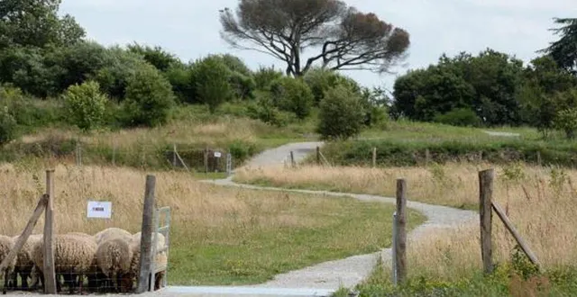 photo  un des deux projets retenus vise à aménager et embellir le parc de la piverdière.  &copy;  co 