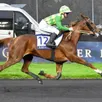 photo joumba de guez sera montée par eric raffin, comme c’est le cas à chaque fois que la jument d’auvers-le-hamon dispute une course de trot monté.
