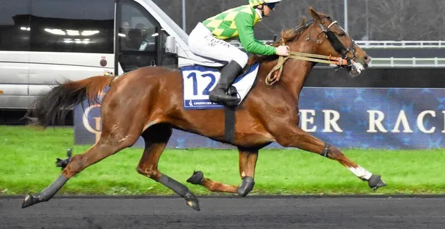 photo  joumba de guez sera montée par eric raffin, comme c’est le cas à chaque fois que la jument d’auvers-le-hamon dispute une course de trot monté.  &copy;  julie hardouin 