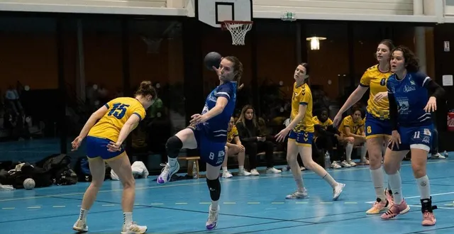 photo  l’ecv espère entretenir ses espoirs de maintien en n3.  &copy;  archives le maine lire 