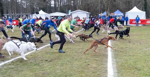 photo  le canicross a réuni 155 binômes, soit vingt de plus que lors de l’édition précédente, ce dimanche 19 janvier 2025 au mans (sarthe).  &copy;  dominique breugnot photographer 
