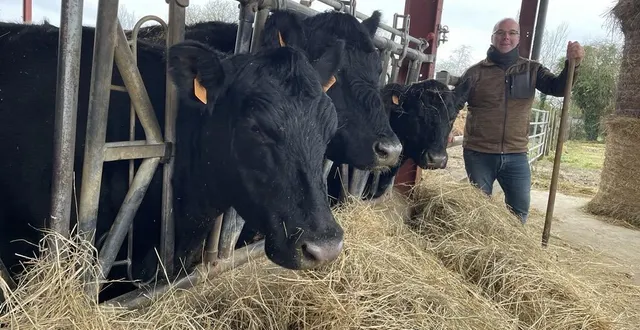 photo  william bouquerel s’est reconverti comme agriculteur en 2018 et élève des bovins de la race black angus, réputée pour sa viande.  &copy;  ouest-france 