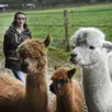 photo géraldine caplain, entourée de ses alpagas.