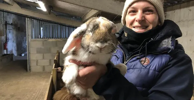photo  hélène perthue, ici avec l’un de ses lapins, a ouvert sa ferme pédagogique en septembre 2024.  &copy;  le maine libre 