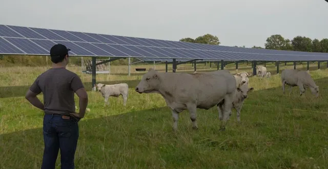 photo  au point bas, les panneaux seraient à 3,5 m.  &copy;  energiter 