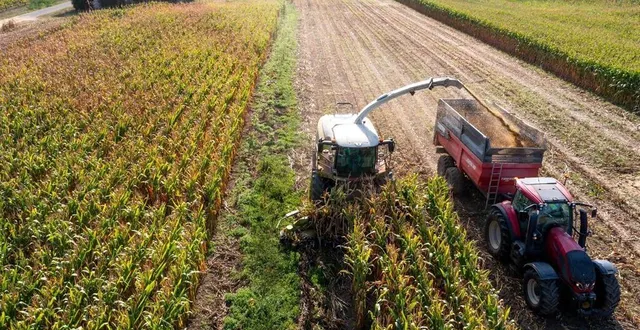 photo  la 38e édition du salon international des techniques de productions végétales à angers (maine-et-loire) a attiré près de 25 000 visiteurs.  &copy;  franck dubray / archives ouest france 