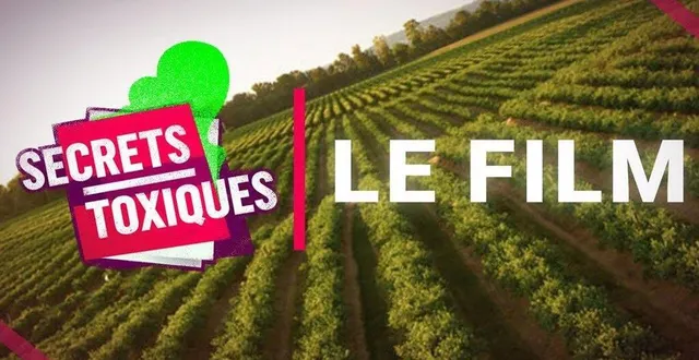 photo  secrets toxiques  &copy;  secrets toxiques 