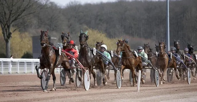 photo  plusieurs trotteurs ont été contrôlés positifs à deux produits, le glycopyrrolate et la béclométhasone, ces dernières semaines. photo d’illustration.  &copy;  hippodrome de bellevue-la-forêt 
