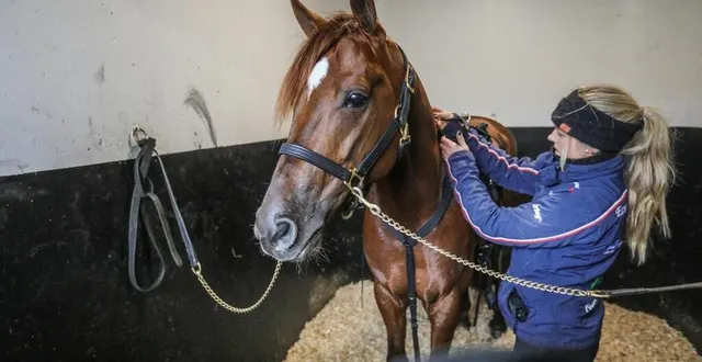 photo  hooker berry réussira t-il à inscrire son nom une deuxième fois au palmarès du prix d’amérique, dimanche 26 janvier 2025.  &copy;  bruno vandevelde 