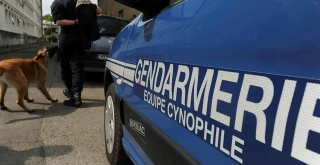 photo  un appel à témoins avait été lancé par la gendarmerie de chalonnes-sur-loire, samedi 25 janvier 2025, pour tenter de retrouver un homme de 38 ans, originaire de sèvremoine. une équipe cynophile avait été déployée. le trentenaire a finalement été retrouvé sain et sauf peu de temps après.  &copy;  archives ouest-france 
