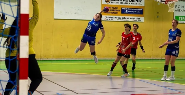 photo  l’ecv n’a pas réussi à renverser la rencontre ce samedi 25 janvier 2025.  &copy;  le maine libre 