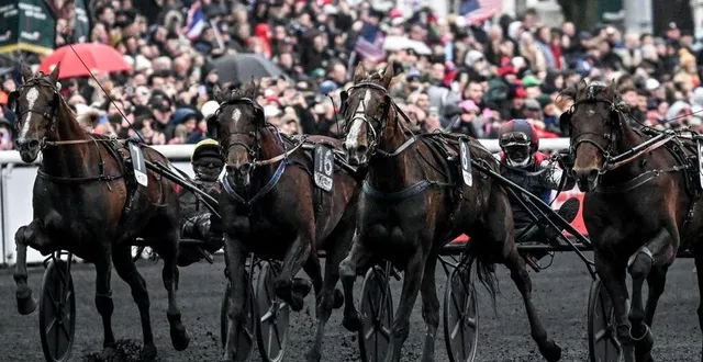 photo  just love you (n°8) et alexandre abrivard terminent à la deuxième place du prix d’amérique disputé, dimanche 26 janvier 2025, sur l’hippodrome de paris vincennes..  &copy;  martin roche/ouest-france 