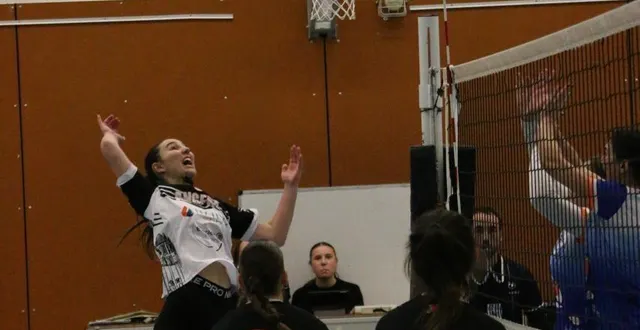 photo  le sco a gagné six matchs sur sept à domicile cette saison.  &copy;  ouest-france 