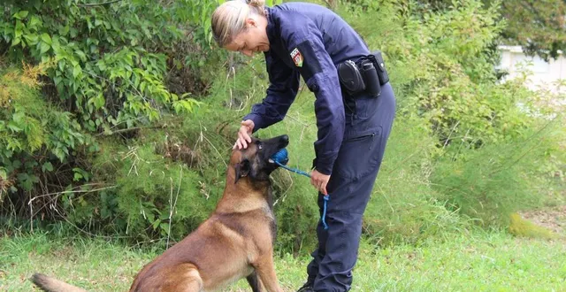 photo  l’adjudant-chef céline et pulaar, son fidèle malinois, ont retrouvé une femme disparue, le 15 janvier 2025, à pruillé-le-chétif, a annoncé la gendarmerie de la sarthe sur ses réseaux sociaux.  &copy;  archives ouest-france 