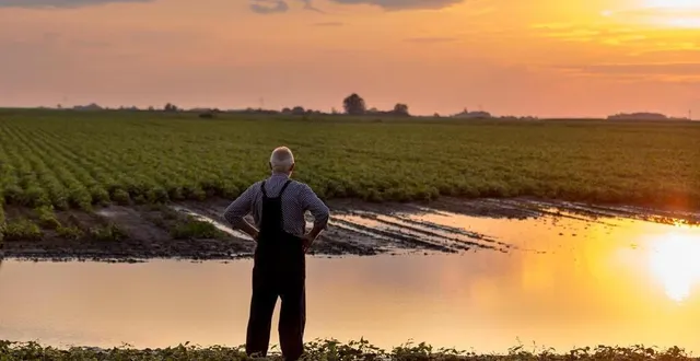 photo  ces tribunaux deviennent compétents pour gérer les procédures amiables ou collectives des agriculteurs.  &copy;  getty images/istockphoto 