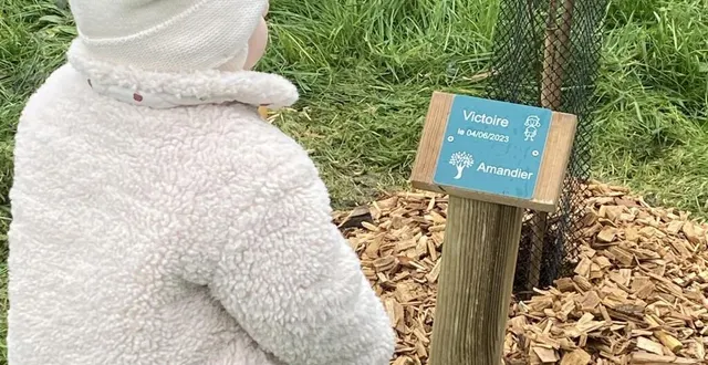 photo  chaque arbre porte le nom d’un enfant.  &copy;  le maine libre 