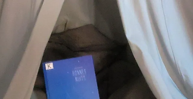 photo  la construction de cabanes a plu aux enfants.  &copy;  le maine libre 