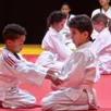 photo  le club de wa-jutsu de domfront a proposé des démonstrations par catégories d’âges. 