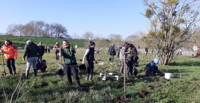 photo  l’association les pics verts et des bénévoles lors de la plantation de la microforêt à la ménitré en 2022  &copy;  archives co 