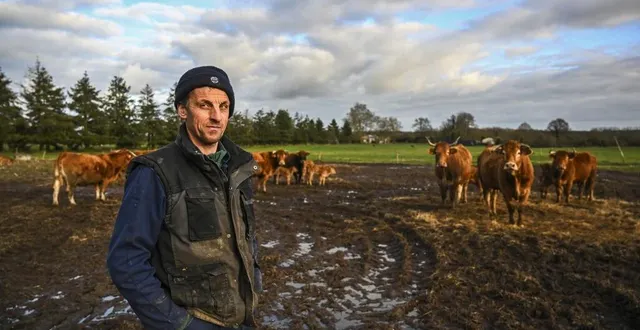 photo  la suze-sur-sarthe, jeudi 30 janvier 2025. comme beaucoup d’autres éleveurs, les champs de jérôme hermenier sont détrempés au mieux, sous l’eau sinon. de quoi compliquer sérieusement son travail.  &copy;  photo le maine libre denis lambert 