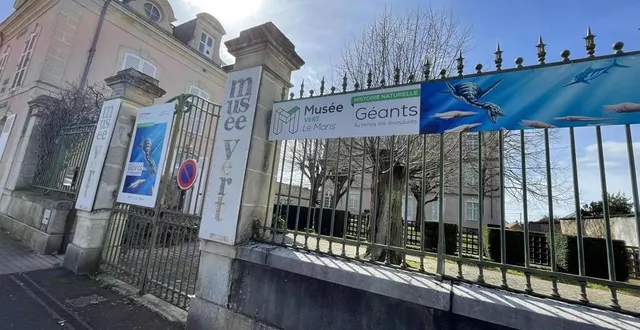 photo  le musée vert du mans est ouvert jusqu’au 23 février 2025.  &copy;  archives le maine libre 