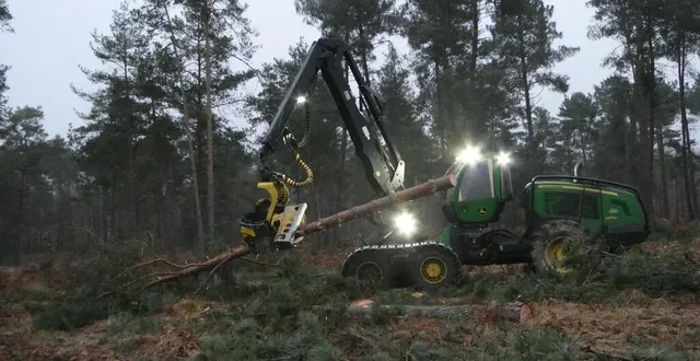 photo  ce chantier de reboisement mené dans une parcelle privée à lasse a permis d’illustrer la signature de la charte forestière de la communauté de communes baugeois-vallée.  &copy;  henri d’oysonville 