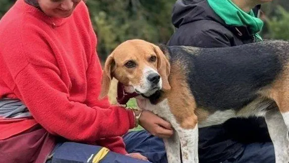 photo  clémentine duguer et eloïse girouard à l’origine de l’événement.  &copy;  ouest-france 