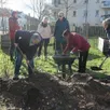 photo eugénie bobé, l’animatrice du jardin partagé, prend l’avis des jardinières et espère que l’équipe va s’agrandir.