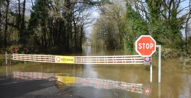 photo  après le fort épisode de crues et d’inondations de la fin janvier, le maine-et-loire est sorti de la période de vigilance.  &copy;  ouest-france 