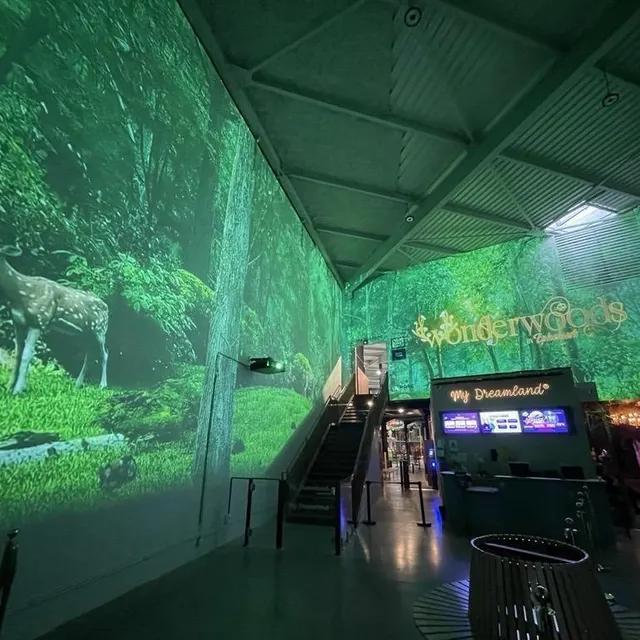 photo dès l’entrée, on est plongé au cœur de la forêt.  ©  ouest-france