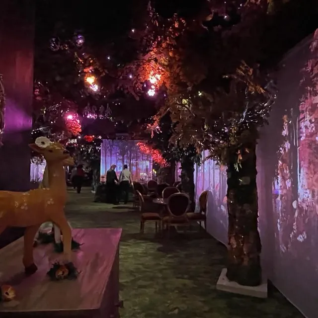 photo une plongée dans une forêt.  ©  ouest-france