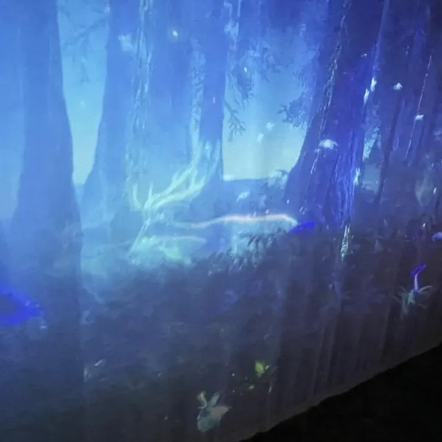 photo des panneaux vidéos sont projetés sur les murs, participant à l’immersion.  ©  ouest-france