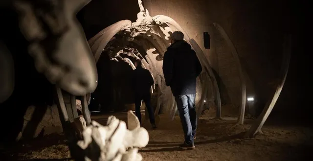 photo  le mystère des faluns rouvre ses portes, ce samedi 8 février.  &copy;  ©pictbysim 