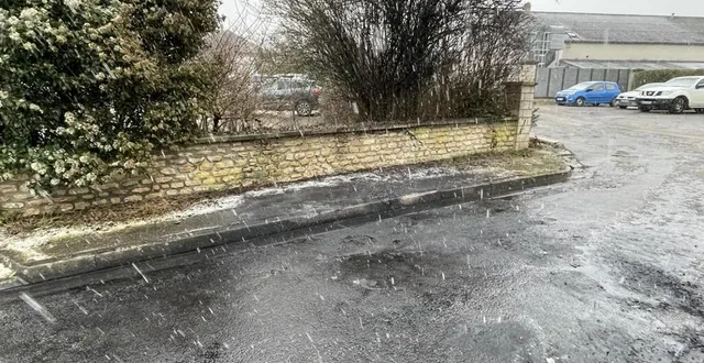 photo  quelques traces sur la chaussée et la haie, après un feu de voiture, rue mont-ormel à argentan.  &copy;  ouest-france 