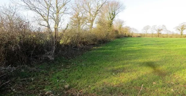 photo  le programme voté par les élus prévoit la plantation de 15 km de haies, ainsi que 450 arbres intraparcellaires.  &copy;  archives ouest-france 