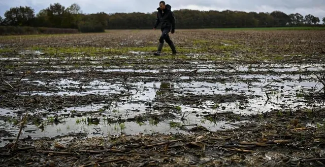 photo  la forte humidité des sols, liée aux récentes précipitations, engendre une grisaille tenace qui cache le soleil même lorsque le temps pluvieux cesse.  &copy;   archives co - josselin clair 