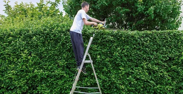 photo  la chambre d’agriculture de la sarthe dispensera les bons conseils pour tailler des haies.  &copy;  delkoo - fotolia 