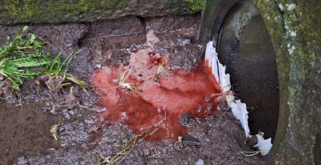 photo  une pollution à l’hydrocarbure a été détectée à la carneille, commune déléguée d’athis-val-de-rouvre.  &copy;  alain lange 