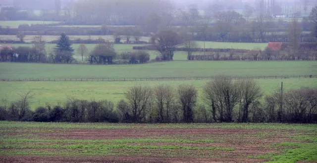 photo  des initiations à la taille de haies et à l’entretien des arbres sont données aux quatre coins de la sarthe en ce mois de février.  &copy;  photo : hervé petitbon / archives le maine libre 