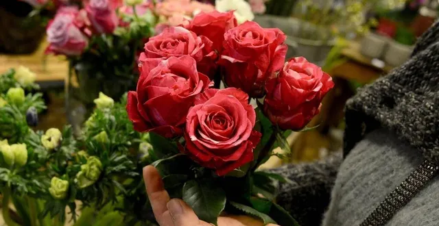 photo  des roses rouges payées par la municipalité sabolienne seront distribuées aux commerçants qui les offriront à leurs clients. photo d’illustration.  &copy;  marc ollivier / archives ouest-france 