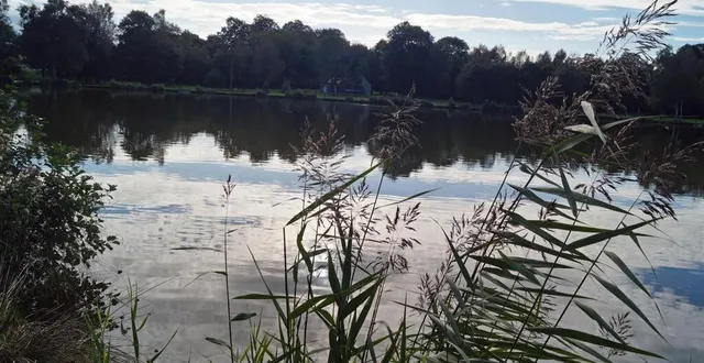 photo  le plan d’eau de la cour à larchamp, commune déléguée de tinchebray-bocage.  &copy;  ouest-france 