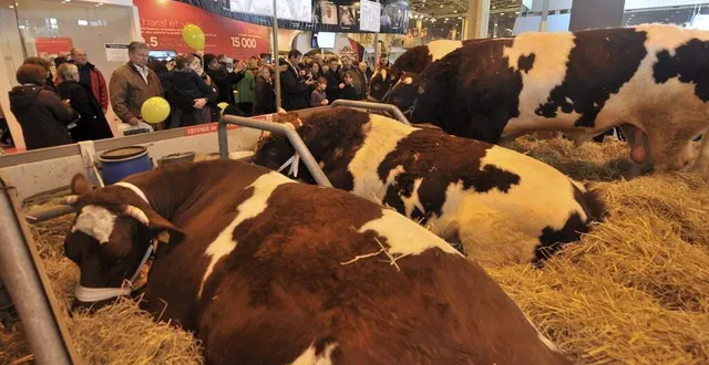 photo  les sarthois se déplacent cette année encore en nombre au salon international de l’agriculture à paris.  &copy;  archives le maine libre hervé petitbon 