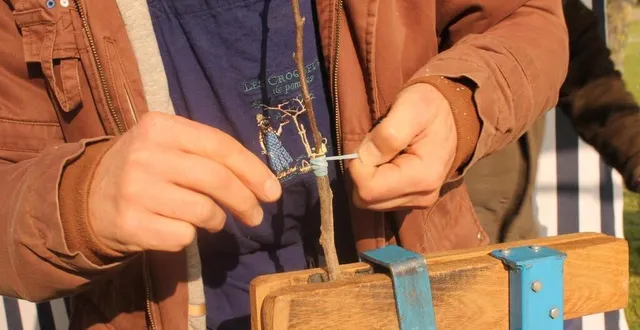photo  la bourse aux greffons à asnières-sur-vègre revient dimanche 16 février 2025.  &copy;  archives ouest-france 